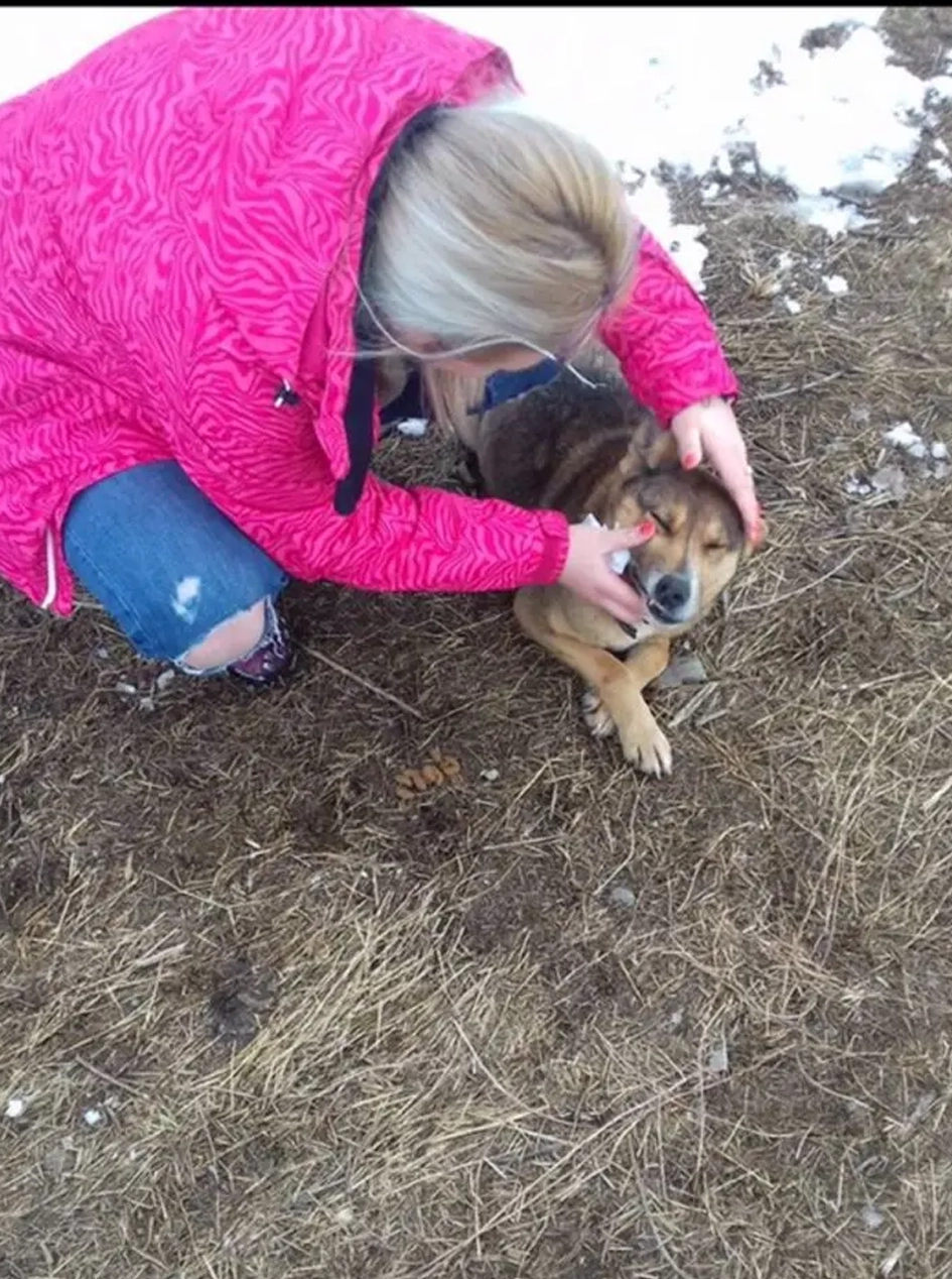 Cățeluș la un control de rutină cu un medic veterinar empatic