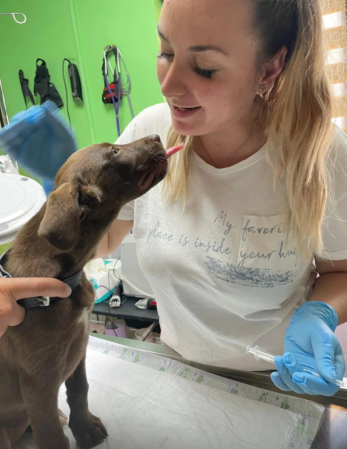 Cabinet veterinar Focșani - Recepție Animar Expertvet